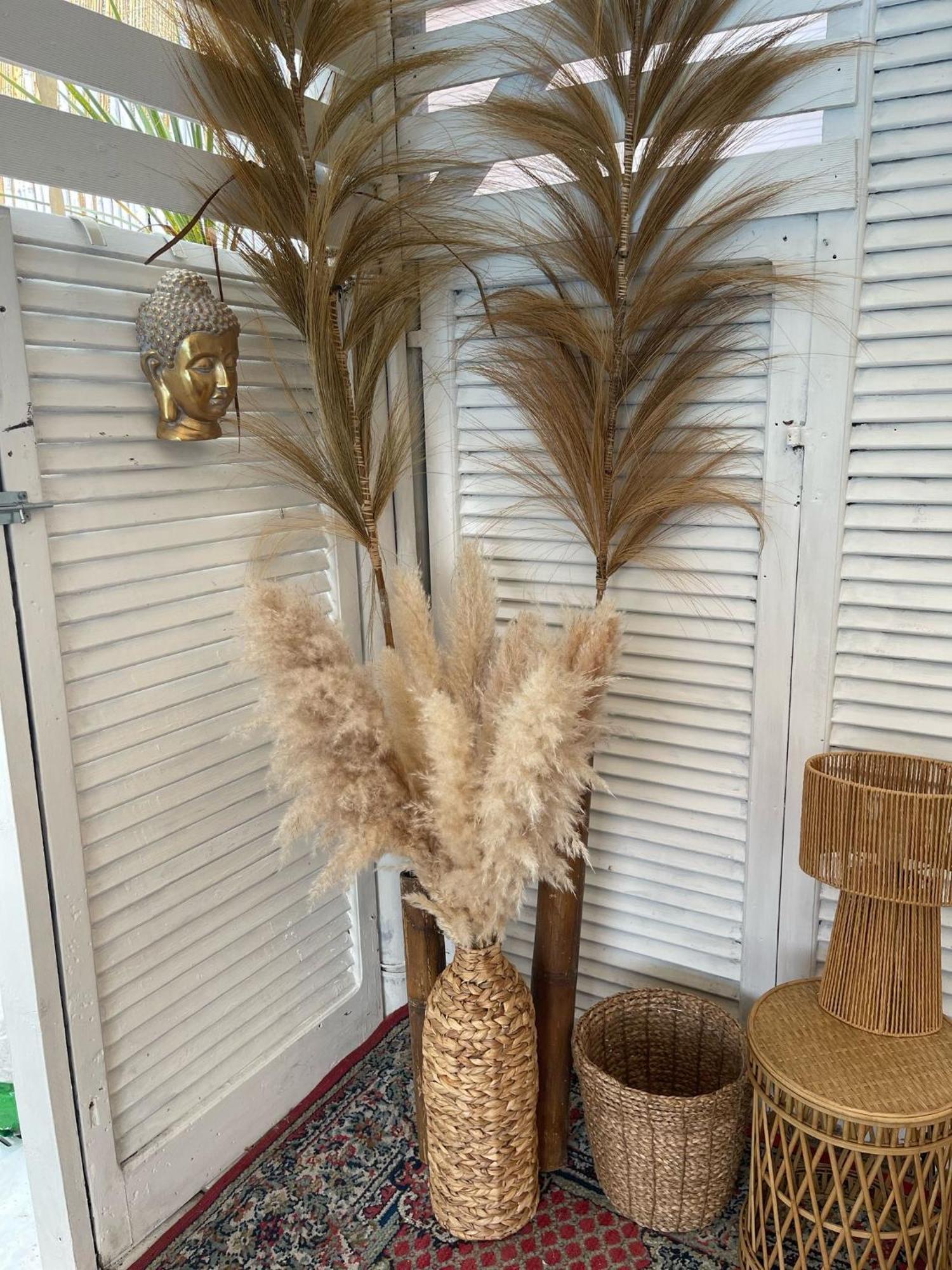 Villa Tropical 프란카빌라 알 마레 외부 사진
